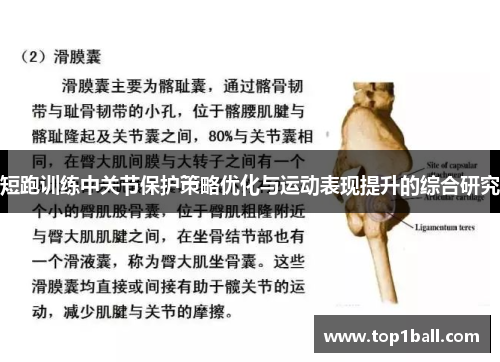 短跑训练中关节保护策略优化与运动表现提升的综合研究